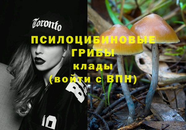 кокаин Белокуриха