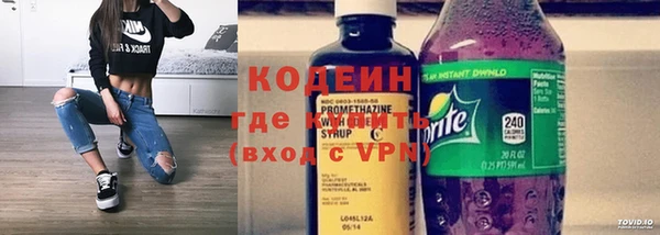 шишки Медвежьегорск