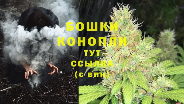 прущие крисы Михайловск