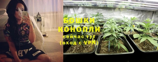 прущие крисы Михайловск