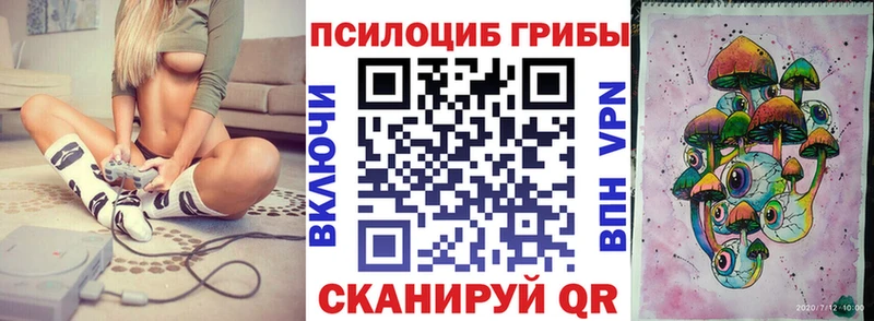 Псилоцибиновые грибы мицелий  blacksprut tor  Бор 
