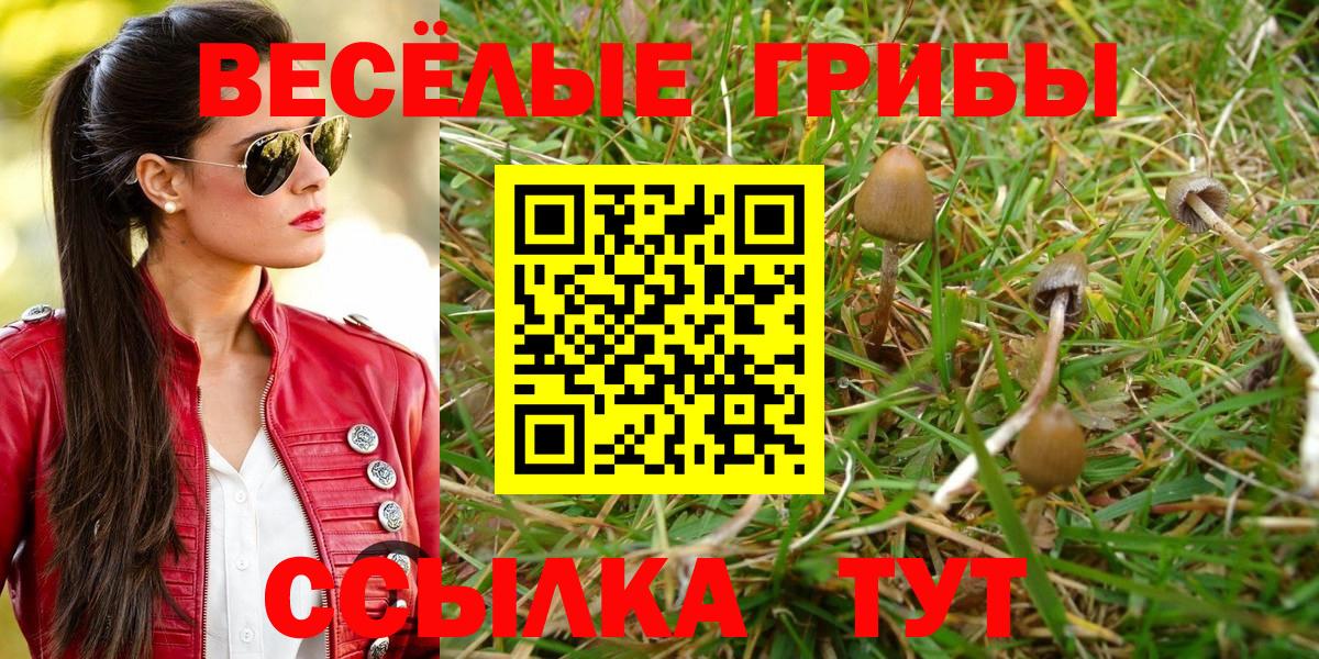 Галлюциногенные грибы мухоморы  Галлюциногенные грибы GOLDEN TEACHER  Бор  Вход с VPN 