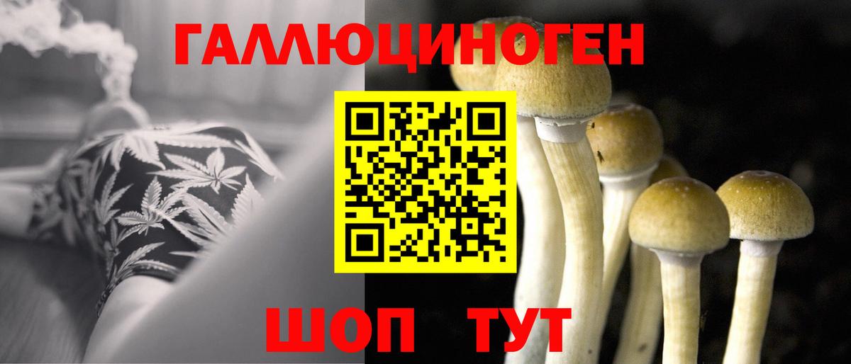 Псилоцибиновые грибы MAGIC MUSHROOMS Бор